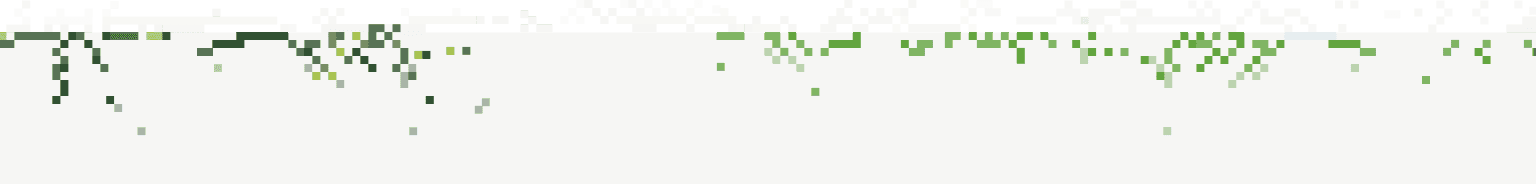 Border